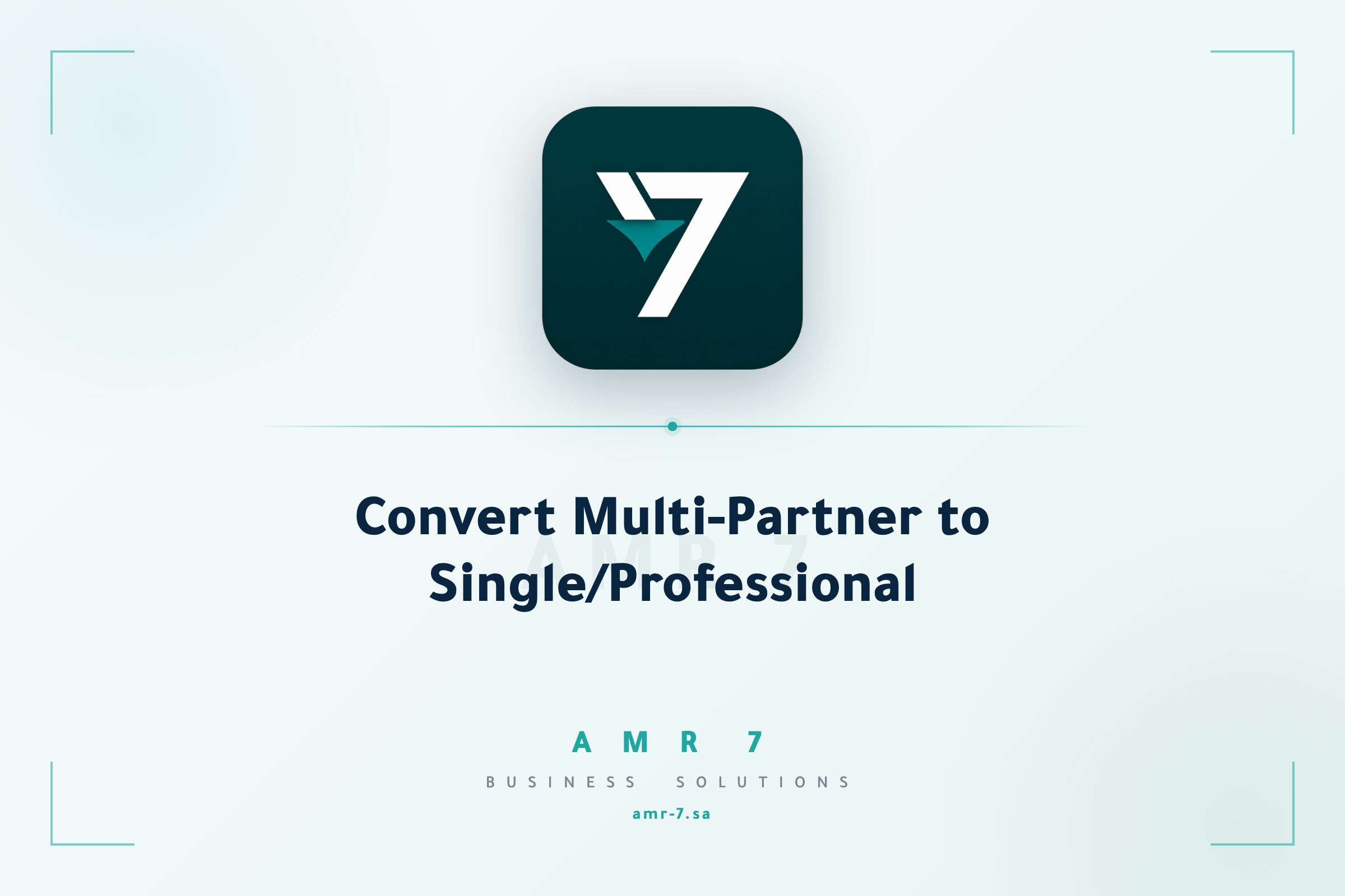 Convert Multi-Partner to Single/Professional